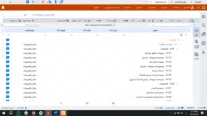 شجرة الحسابات-07